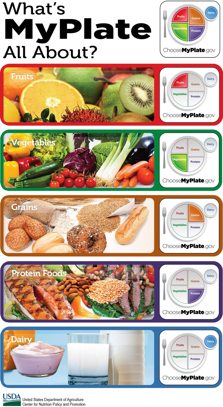 Whats My Plate All About Infographic